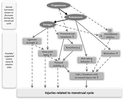 Insights in the Effect of Fluctuating Female Hormones on Injury Risk—Challenge and Chance